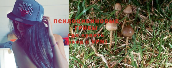 дурь Балахна